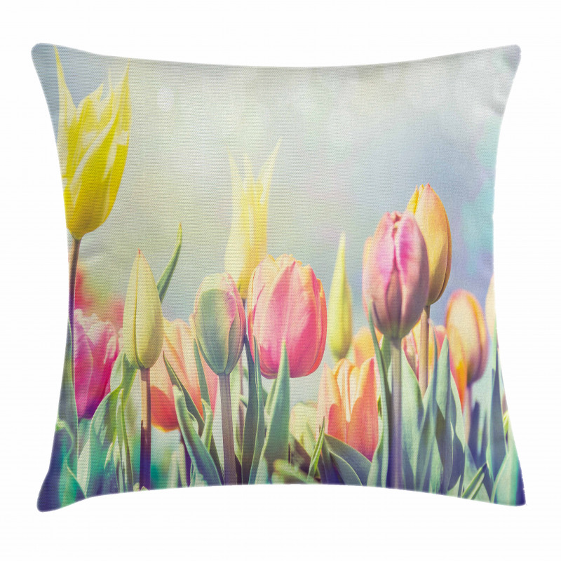 Tulips Flower Bed Park Pillow Cover