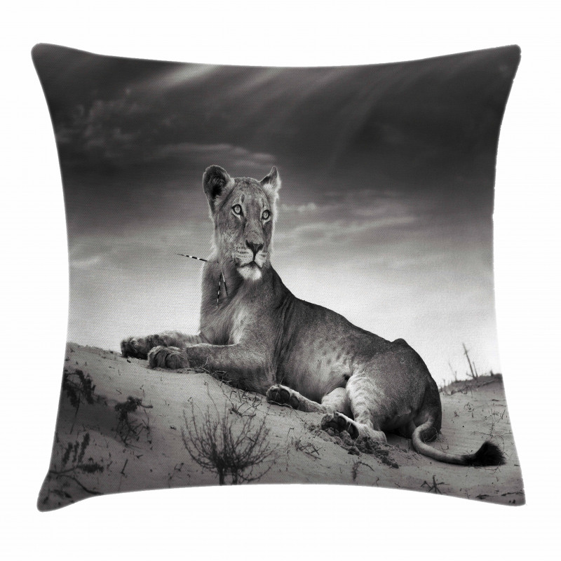 Wild Lioness Pillow Cover