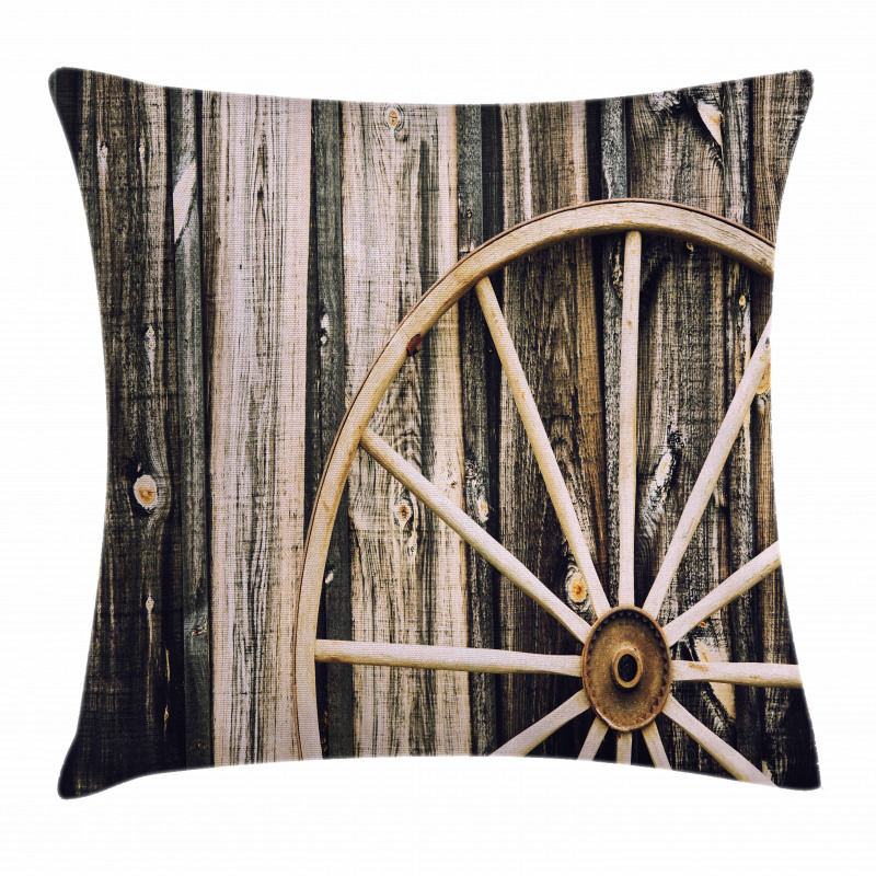 Rusty Door Pillow Cover