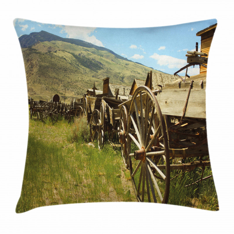 Old Carriages Pillow Cover