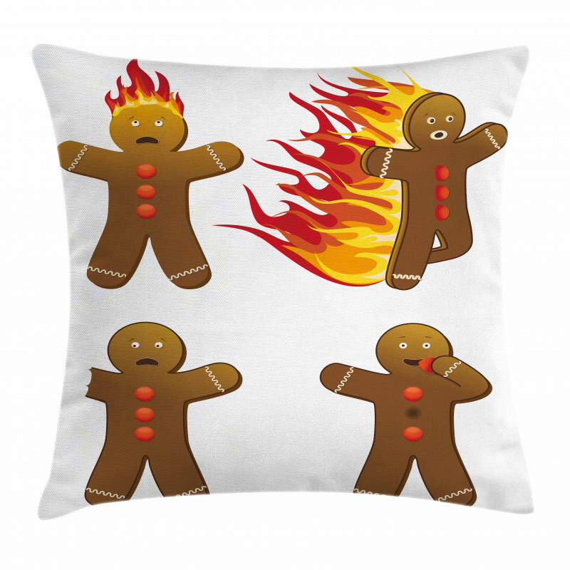 Funny Pillow Cover