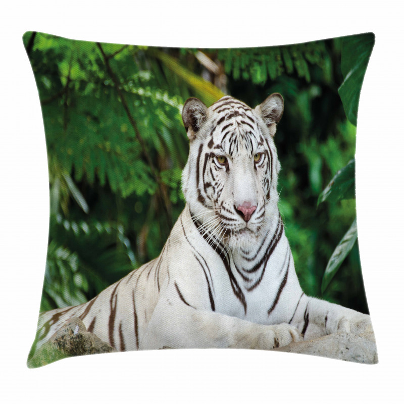 Albino Bengal Cat on Rock Pillow Cover