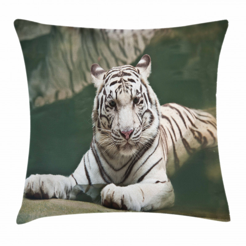 White Tiger Swimming Fun Pillow Cover
