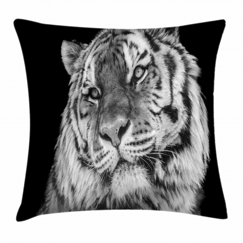 Intense Gaze of Hunter Pillow Cover