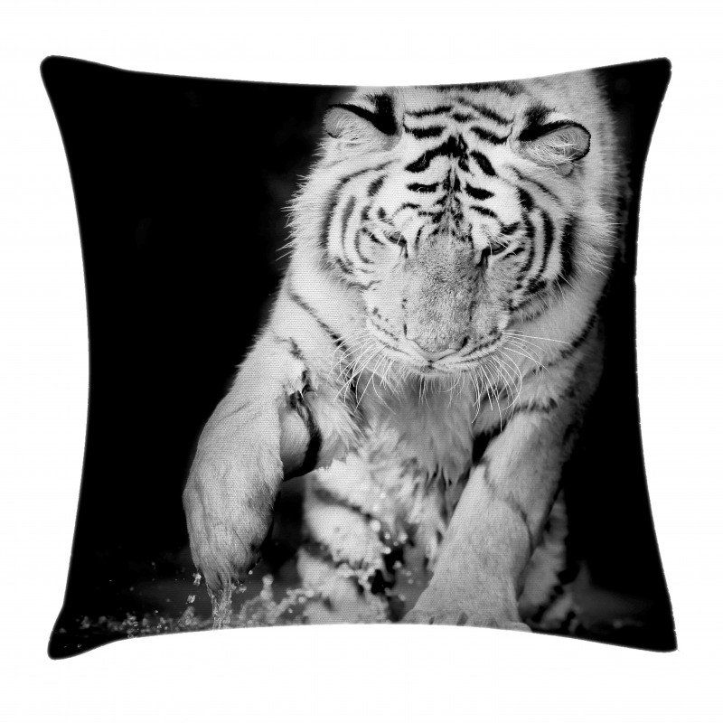 Large Cat Plays in Water Pillow Cover