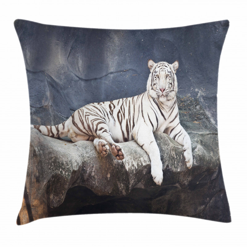 Wildlife Cat on the Rock Pillow Cover