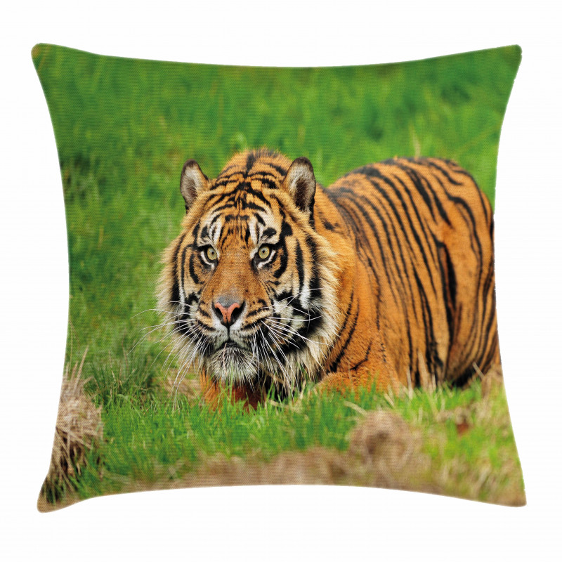 Sumatran Feline Ambush Pillow Cover