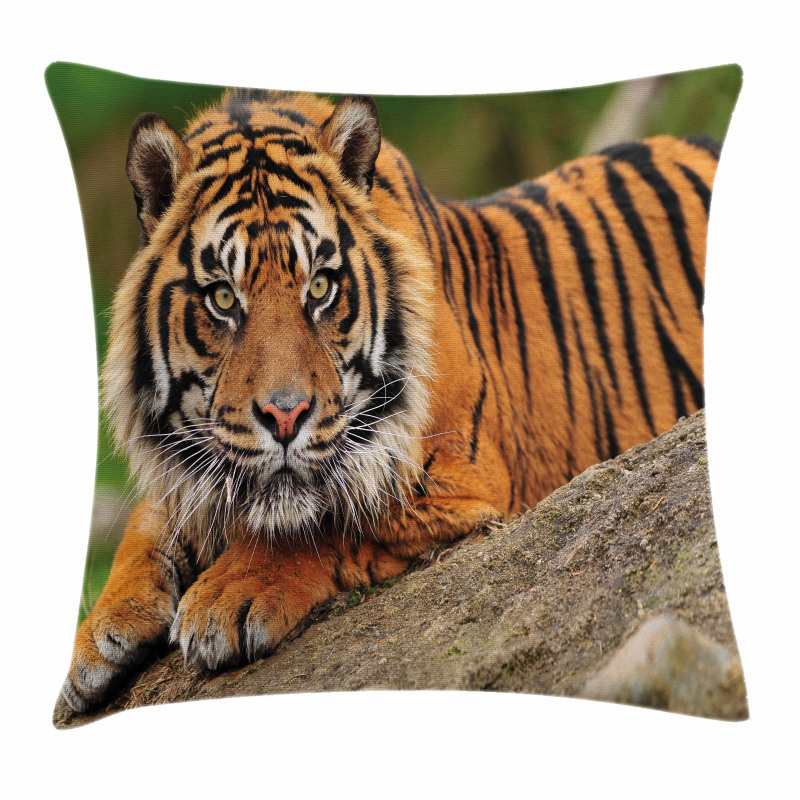Tiger Crouching on Rock Pillow Cover