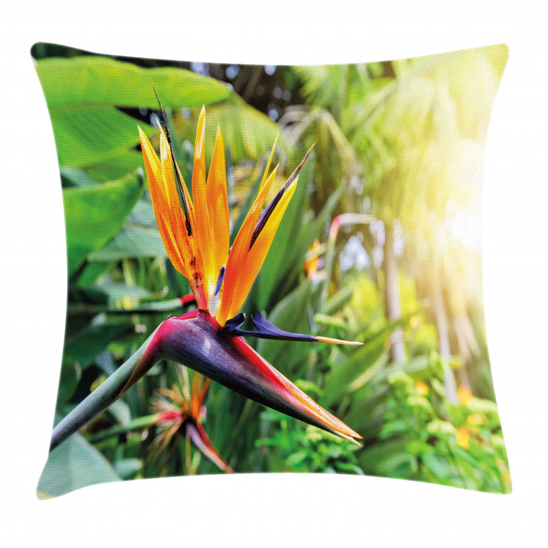 Bird of Paradise Flower Pillow Cover