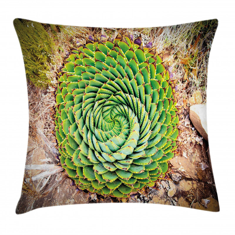 Aloe Polyphylla Vera Pillow Cover