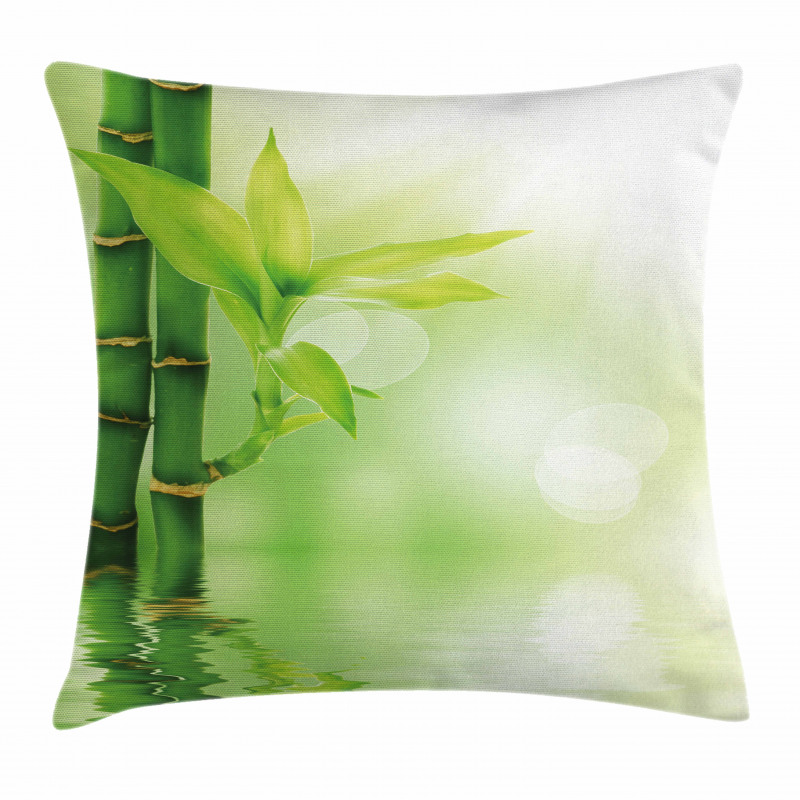 Bamboo out of Water Pillow Cover