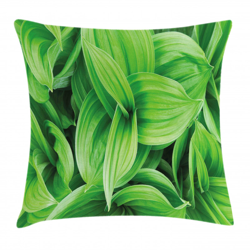Tropic Foliage Pattern Pillow Cover
