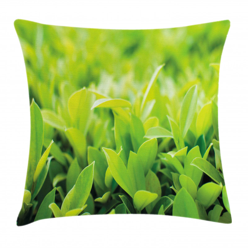 Lush Green Leaves Pillow Cover