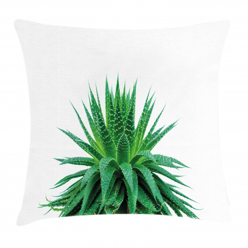 Vibrant Aloe Vera Pillow Cover