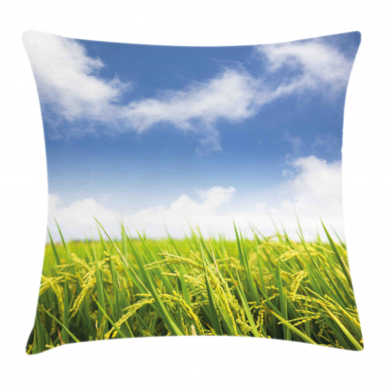 Paddy Rice Field Pillow Cover