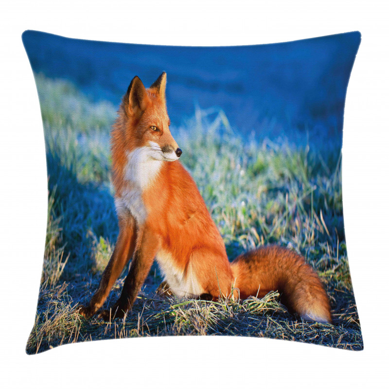 Serene Cold Autumn Field Pillow Cover