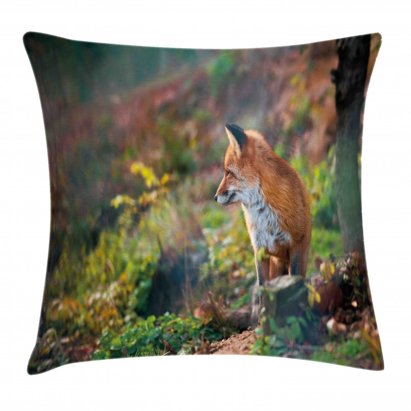 Young Wild Fox in Woodland Pillow Cover