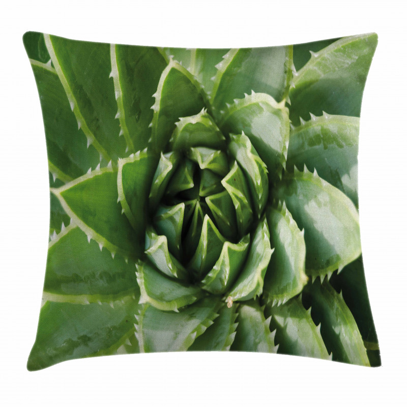 Green Leaf Exotic Mexico Pillow Cover