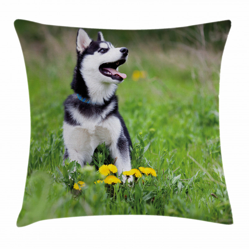 Puppy on Grass Pillow Cover
