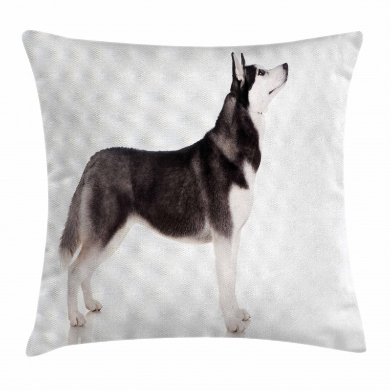 Arctic Animal Pillow Cover