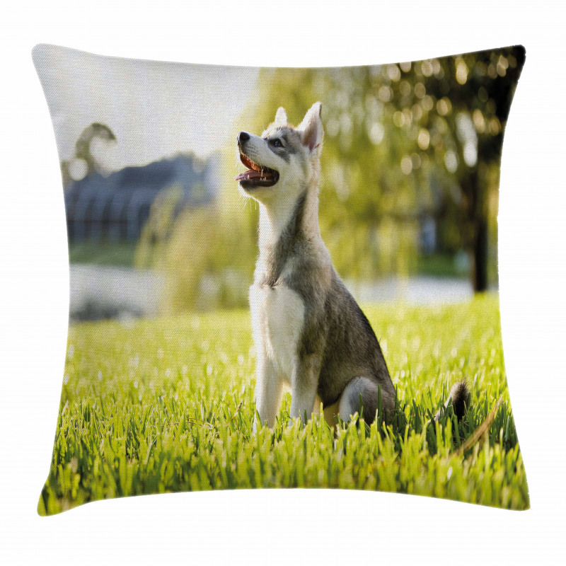 Friendly Pillow Cover