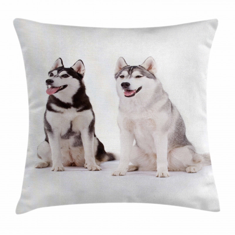 Furry Doggies Pillow Cover