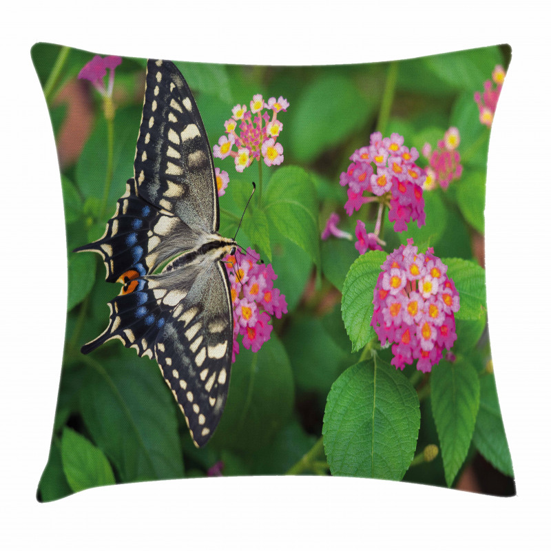 Eco Nature Pillow Cover