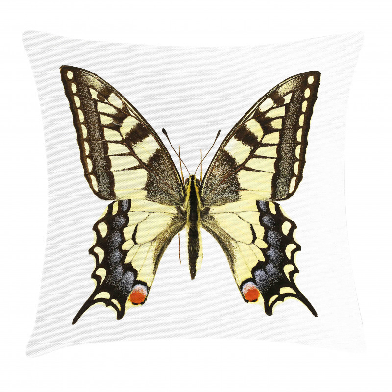 Old Papilio Pillow Cover