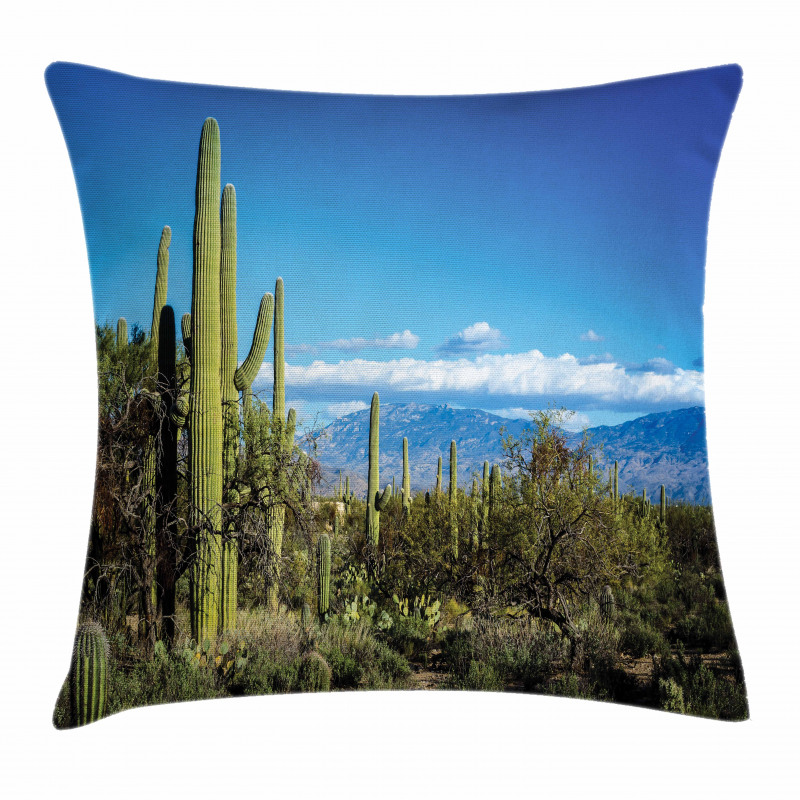 Tucson Countryside Cacti Pillow Cover
