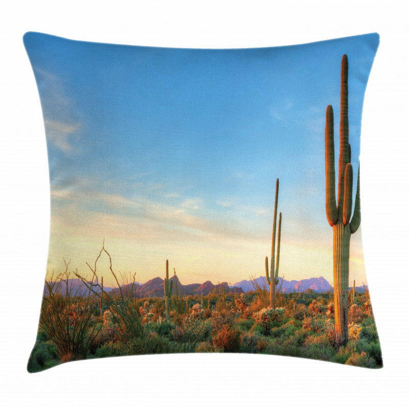 Sonoran Desert Sunset Pillow Cover