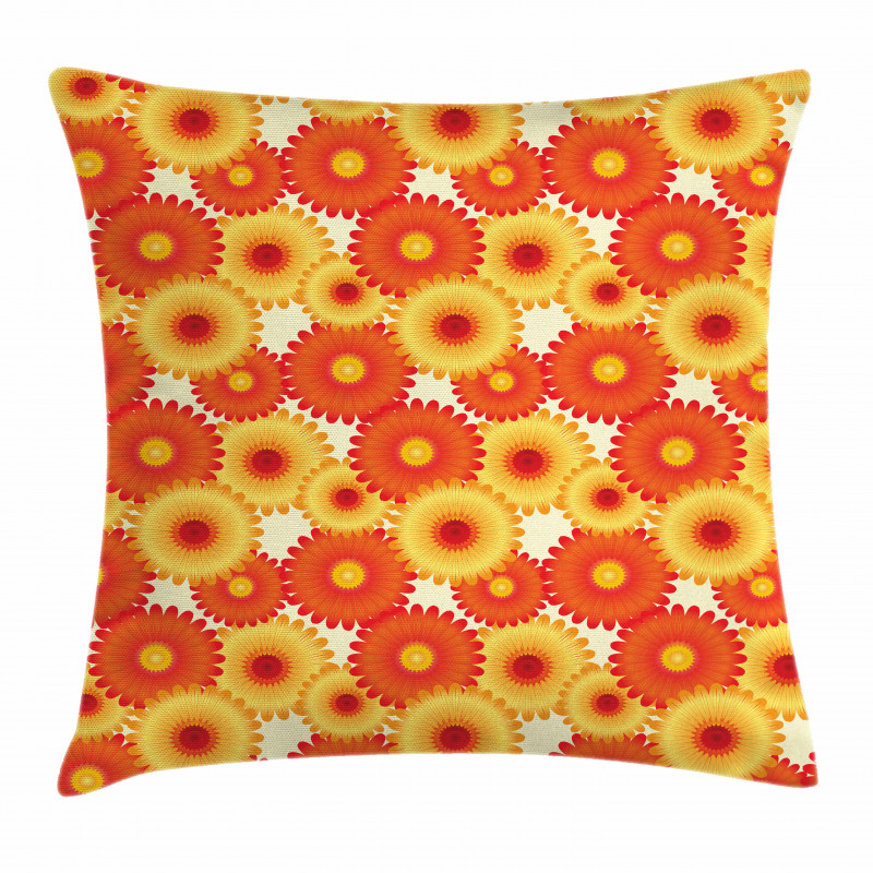 Gerbera Petals Graphic Pillow Cover