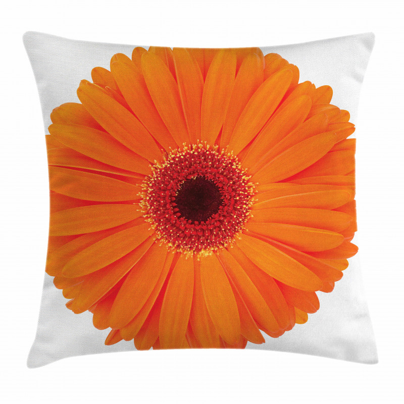 Vivid Flower of Gerbera Pillow Cover