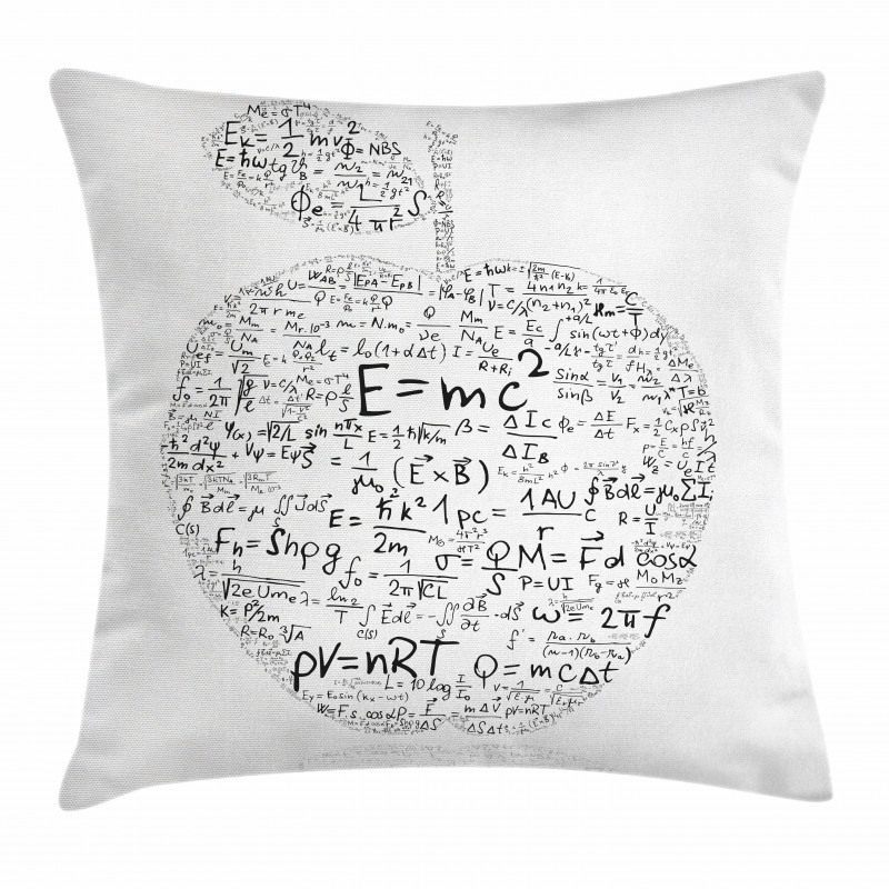 Equations Learning Pillow Cover