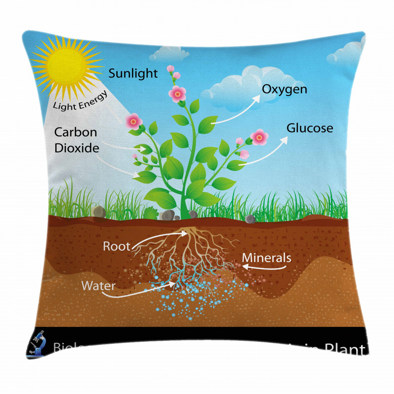 Plant Diagram Style Pillow Cover