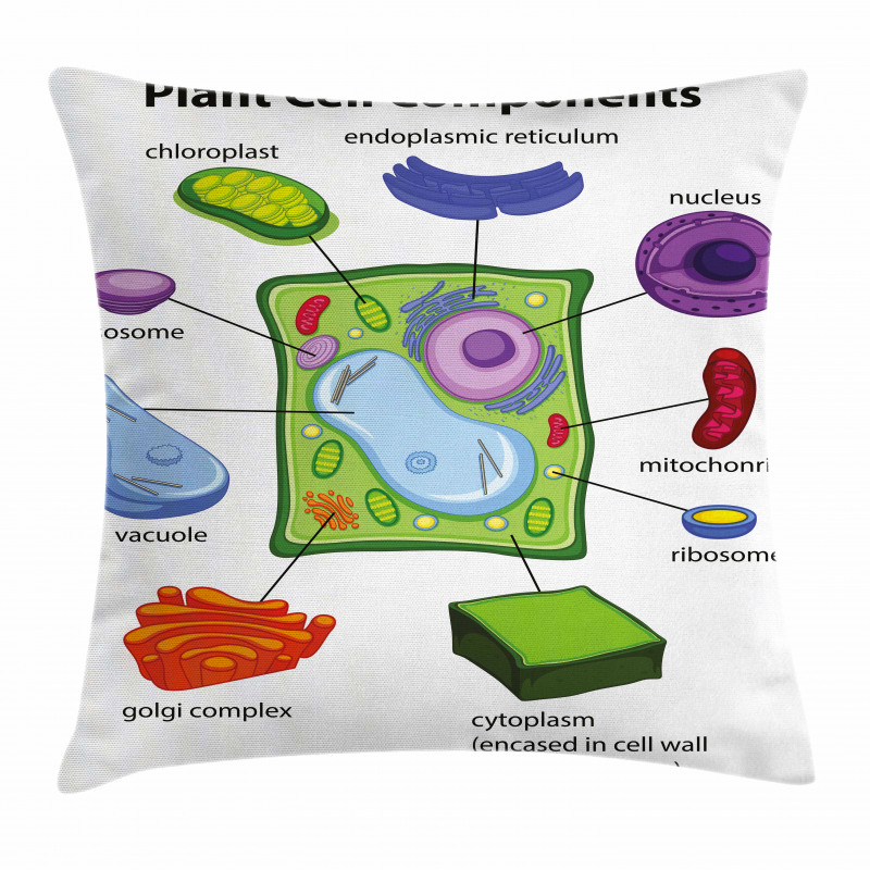 Cartoon Science Pillow Cover