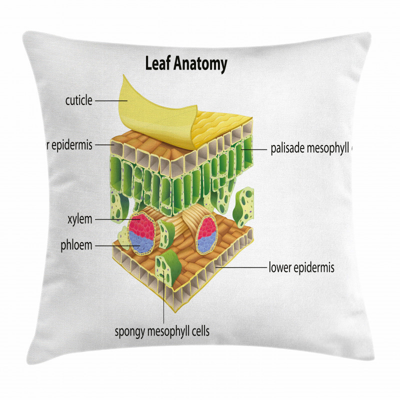 Leaf Names Theme Pillow Cover