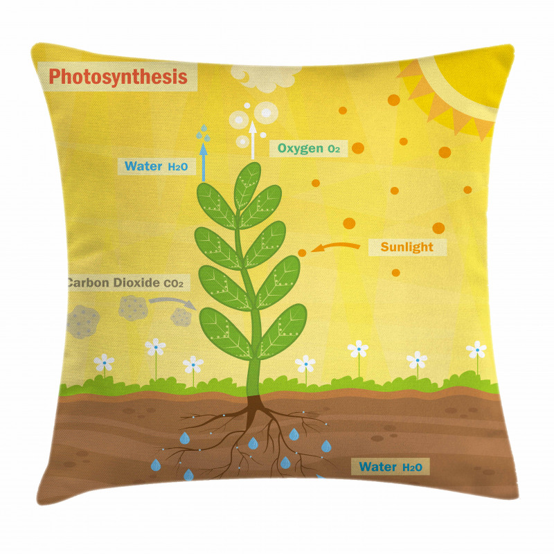 Cartoon Oxygen Sun Pillow Cover