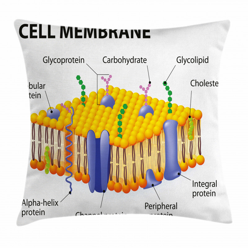 Membrane Cell Types Pillow Cover