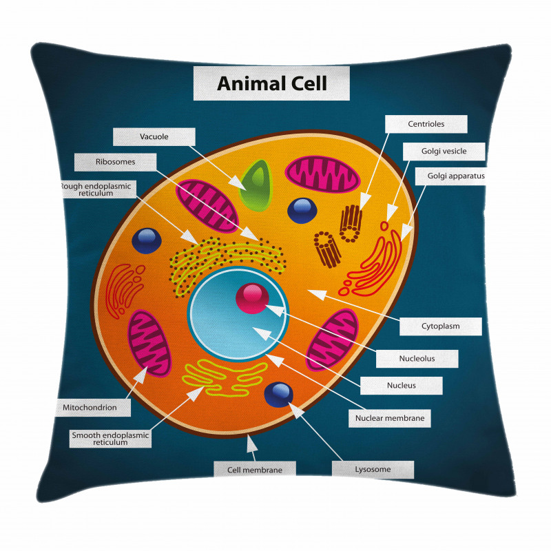 Science at School Pillow Cover