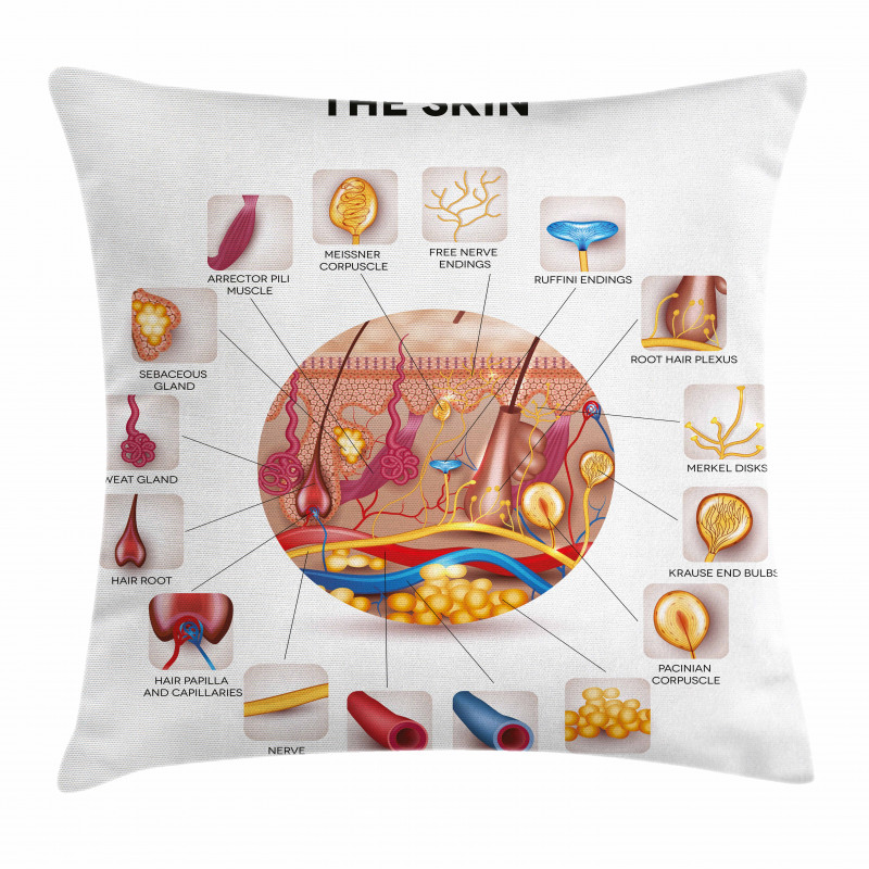 Skin Anatomy Veins Pillow Cover