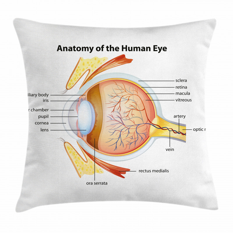 Eye Cornea Pupils Pillow Cover