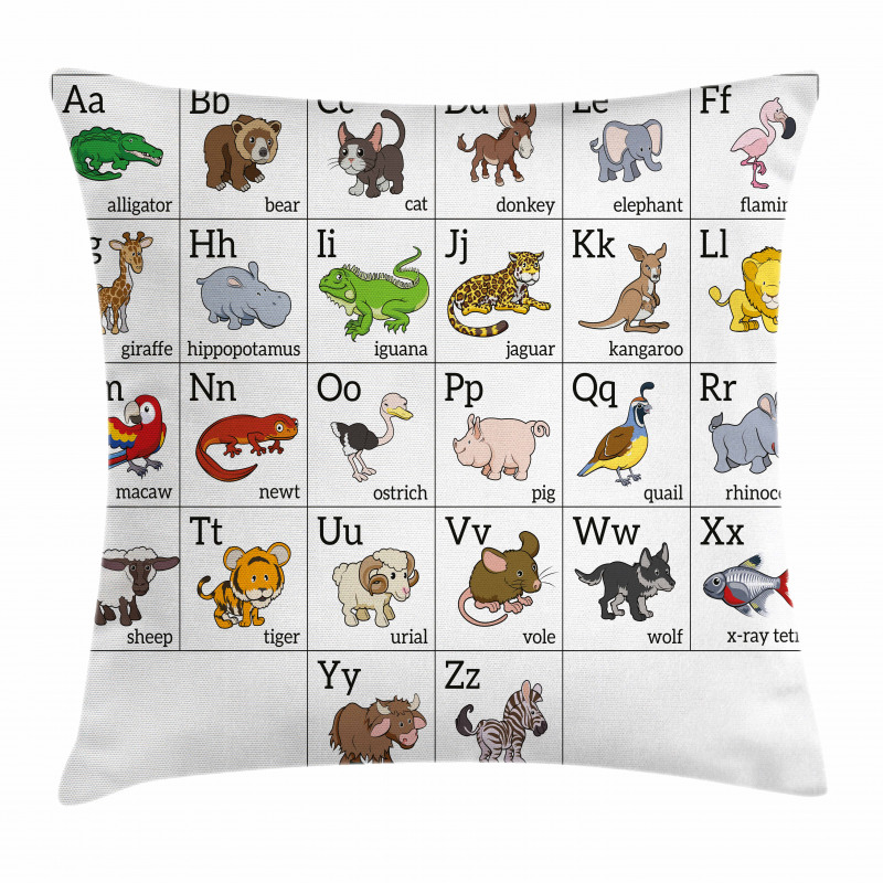 Alphabet Chart Pillow Cover