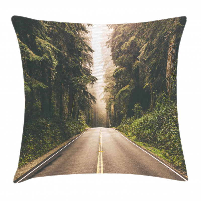 California USA Roads Pillow Cover