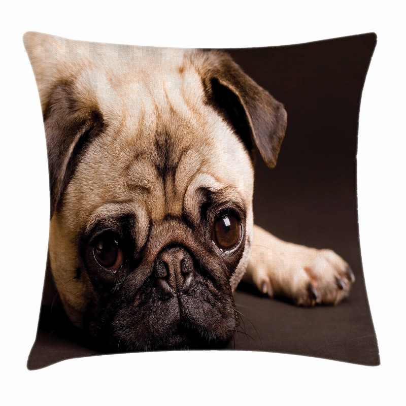 Puppy Photograph Animals Pillow Cover