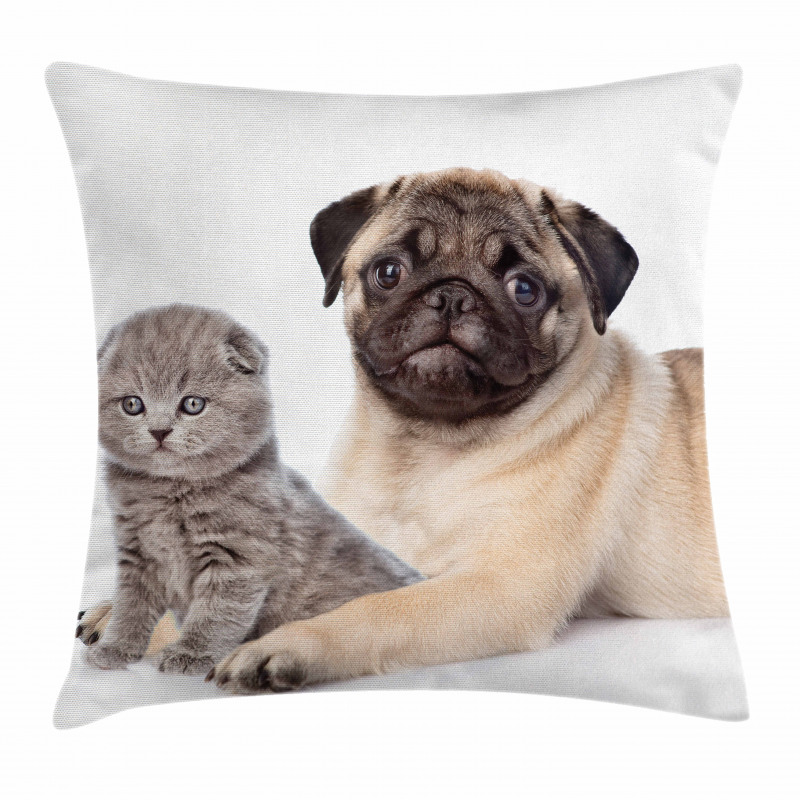 Young Puppy and Kitten Pillow Cover