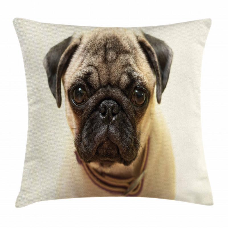 Pure Bred Dog Photograph Pillow Cover