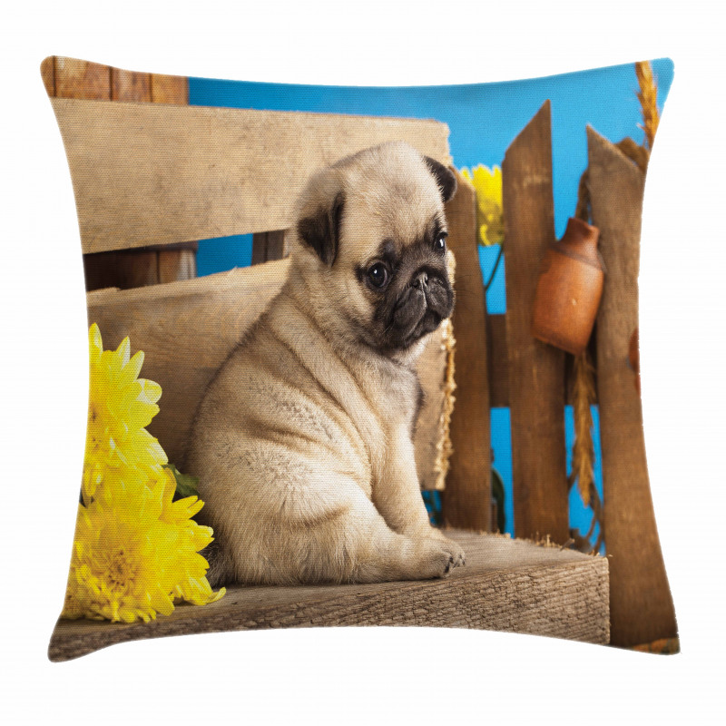 Puppy Photography on Bench Pillow Cover