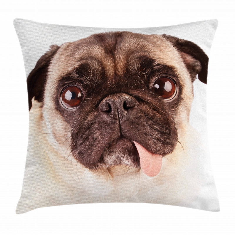 Upset Dog Sad Eyed Pet Pillow Cover