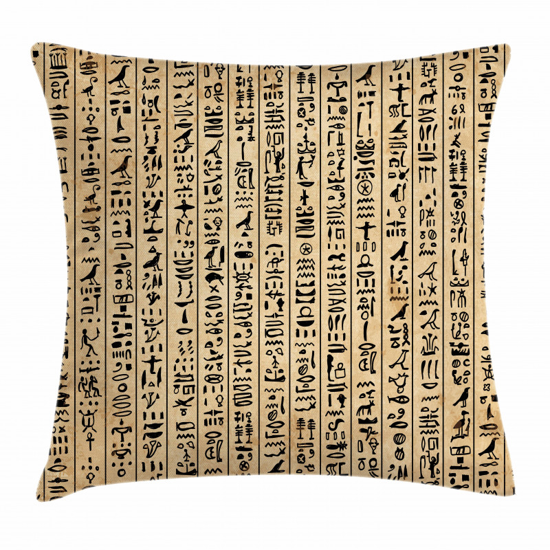 Ancinet Hieroglyphs Pillow Cover