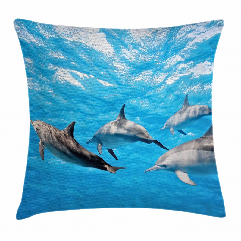Happily Swimming Fish Pillow Cover